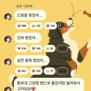 어제자 대학 축제 공연중 드럼을 진짜로 찢어버린(물리) 쵸단 이미지