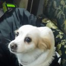 IQ당구장 이미지