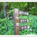 담양오방길2코스(산성길) 이미지