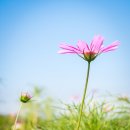 장신농장 이미지