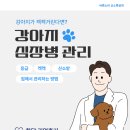 강산동물병원 | 강아지 심장병 켁켁거림 한달동안 산소발생기 관리한 후기