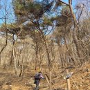 [등산] 벽방산 (통영)