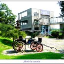 정원카페 이미지