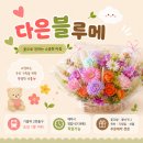 기흥역꽃집 다은블루메 용인꽃다발 용인부케 꽃바구니 솔직후기