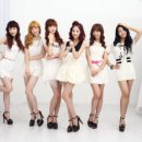 비비드걸 카카오 검색결과