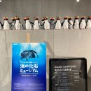 삿포로 가볼만한곳, 아오아오(AOAO) 아쿠아리움 할인, 실내여행지