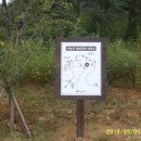 비봉산 투어로드 이미지