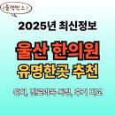 울산 한의원 추천 TOP5 (25년 최신)