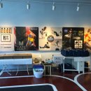 베어리핏 이미지