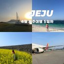 하도별방진 | [제주] 여행 5일차 광치기해변, 우뭇개해안, 우도, 별방진, 렌트카반납, 제주공항