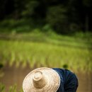 식위천 - 광주시 경안로41번길 6 | 식위천