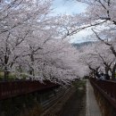 기억의 순간 이미지