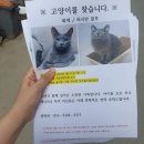 허준영한의원 이미지