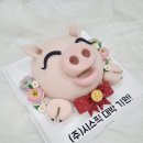 (주)시스픽