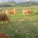 뿌리축산 이미지