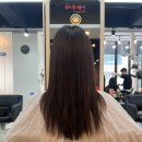 트라이얼스타 C동 | 둔산동미용실 친절하고 꼼꼼한 하루헤어 모발크리닉 후기