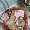 안성흑염소농장 이미지