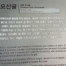 점심땐데... 이미지