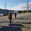 판관오리 이미지