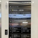 CL요가 | 학동역 바레 아가벨라 필라테스&바레 바레체험