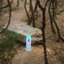 옥과 성륜사주차장 이미지