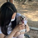 아이엠필름(IMFILM)