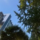 회화화장실 | 강남영어회화학원 자신감 붙은 수강 후기