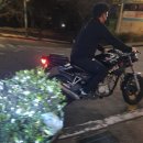 대림카모터스 이미지