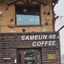 삼은길 | 강아지 동반 카페 추천 | 안성 삼은40에서 보낸 여유로운 하루 + 디저트 후기