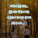 여지 이미지