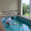 마산합포구 ⓗ-12 | 경남 마산 독채 키즈풀빌라 아기랑 여기광암 이용후기