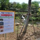 카스타일 | 제주 여행 스타일별 제주렌트카 선택 가이드 완벽 정리