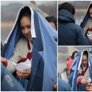 수목야식 이미지