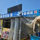 쌍둥이네 | [당진] 봄 도다리쑥국 맛집 마섬항 쌍둥이네 횟집 리얼 후기
