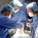 가톨릭덴탈 이미지