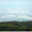 삼양축산 이미지