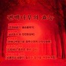 이환헤어 이미지