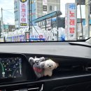 울산광역시 동구보건소 화장실 | [퇴사연습생] [국내여행] 울산 동구 당일치기 여행 후기(대왕암/일산해수욕장) - 1탄