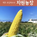 원석농장 이미지