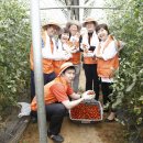 한화생명 이미지