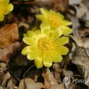 술목원 연합뉴스