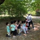 리라숲어린이집 이미지