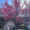 먹뱅이닭숯불구이 이미지