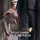 비데이 이미지