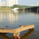 세종보 입구 이미지