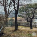 호암 | 용인 호암미술관 김윤신 전시 후기｜입장료, 주차, 벚꽃 상황