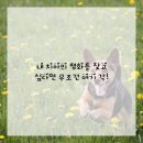 미소치과의원 이미지