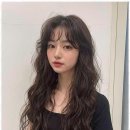 꽃미용실 이미지