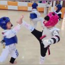 미르태권도 2관 이미지