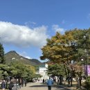 민속떡방아 | 서울 아이랑 가볼만한곳 실내 국립민속박물관 어린이박물관 예약, 주차